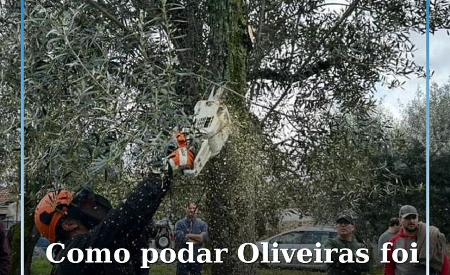Sertã