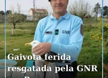Penamacor