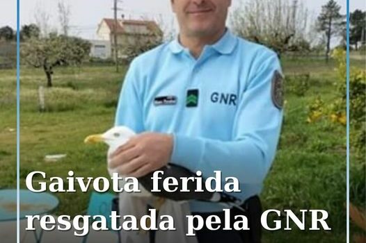 Penamacor