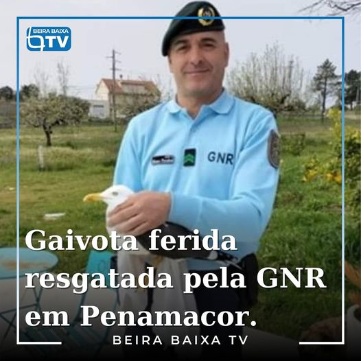 Penamacor