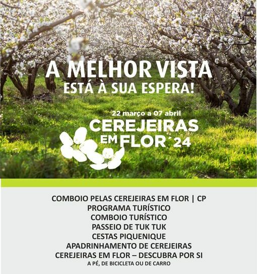 Fundão