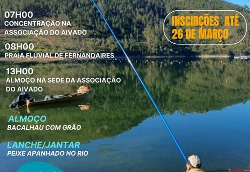 Vila de Rei
