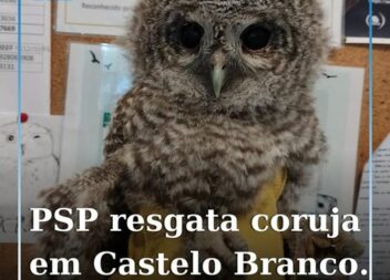 Castelo Branco