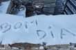 May be an image of snowball and text