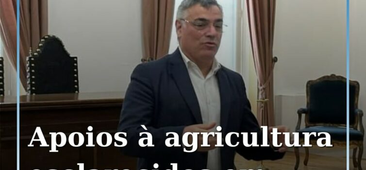 A Câmara Municipal da Sertã recebeu uma sessão de esclarecimento sobre apoios à