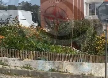 Despiste de trator faz dois feridos graves.