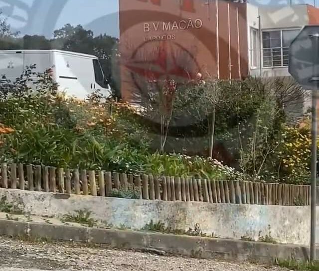 Despiste de trator faz dois feridos graves.