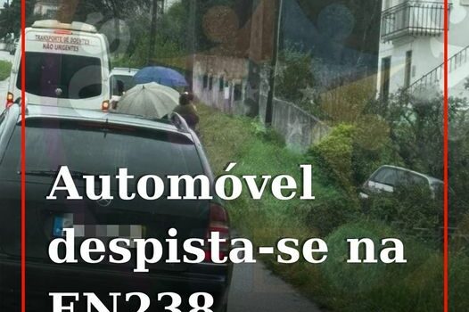 Um veículo ligeiro de passageiros despistou-se esta tarde de quinta-feira na EN2