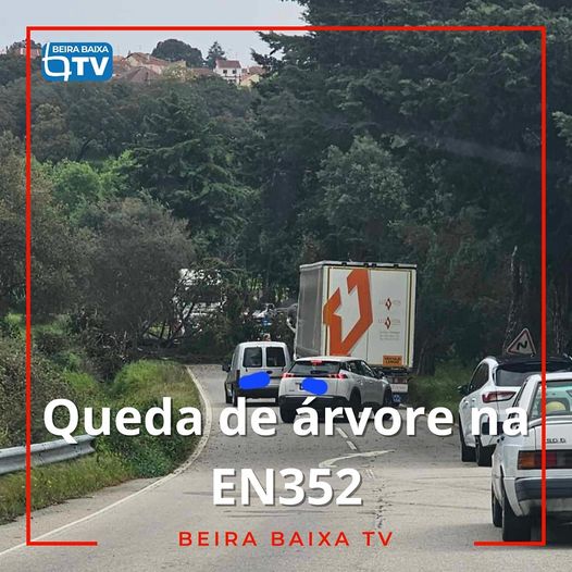 Uma árvore de médias dimensões condicionou temporariamente o trânsito na EN352,