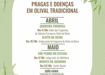Proença-a-Nova