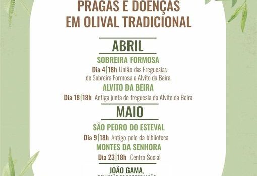 Proença-a-Nova