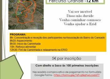 Castelo Branco