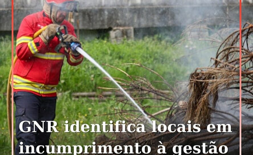 Proença-a-Nova