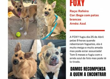 Fundão