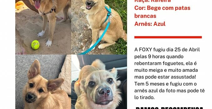 Fundão