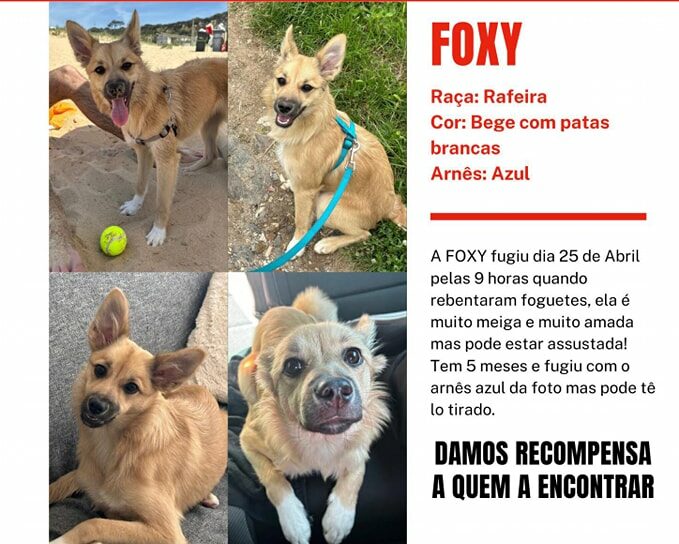 Fundão