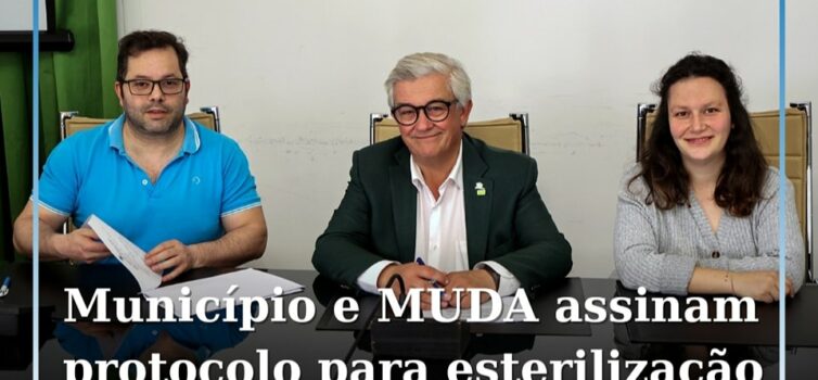 Idanha-a-Nova