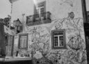 Castelo Branco com Mural Comemorativo do 25 de Abril
