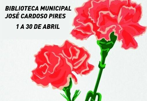 Vila de Rei