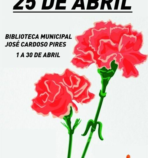 Vila de Rei