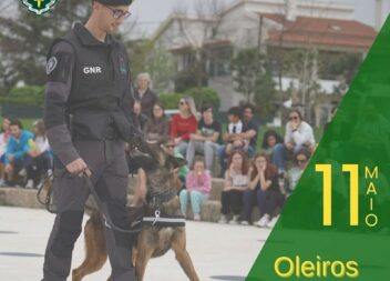 Oleiros