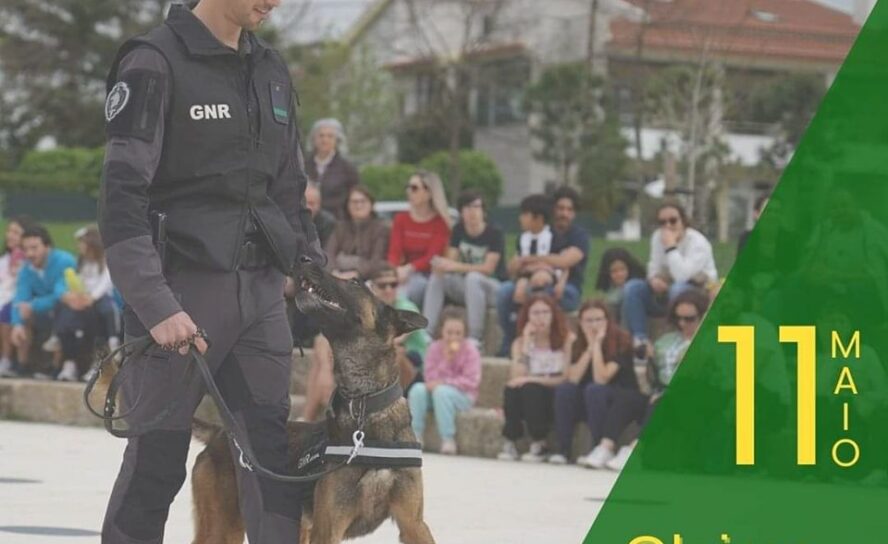 Oleiros