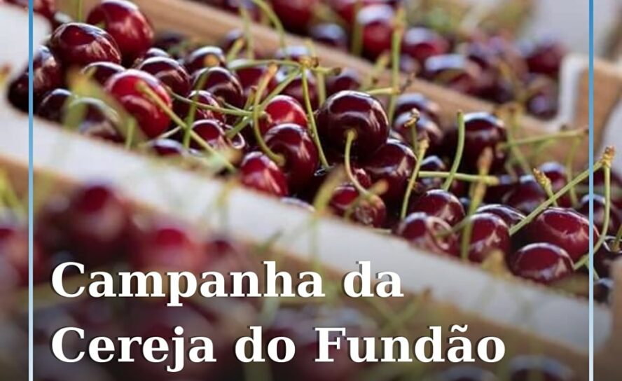 Fundão