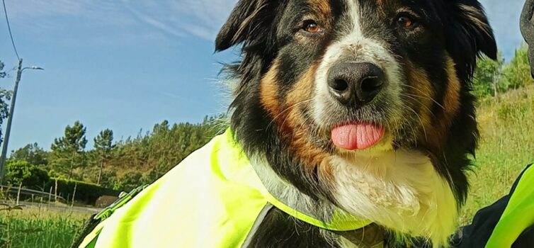 Nos Caminhos da Fé 2024