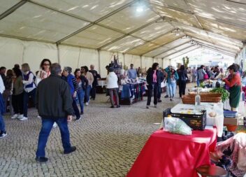 Sertã