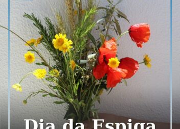 Hoje assinala-se o Dia da Espiga