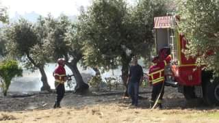 Incêndio agrícola deflagra em Castelo Branco