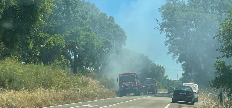Incêndio em zona de mato deflagra em Castelo Branco