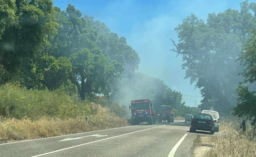 Incêndio em zona de mato deflagra em Castelo Branco