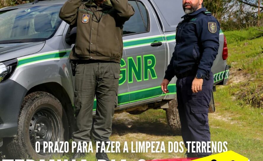 Limpeza dos terrenos