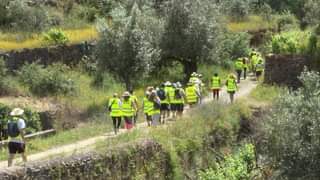 Nos Caminhos da Fé: Grupo de Peregrinos de Tinalhas e Arredores