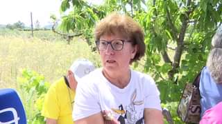 Proença-a-Nova | Passeio Pedestre 205 Montes de Cerejas