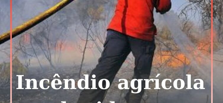 Um meio aéreo foi mobilizado para combater um incêndio agrícola que deflagrou ju
