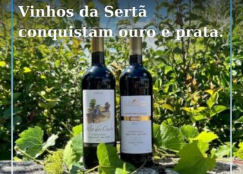 Sertã