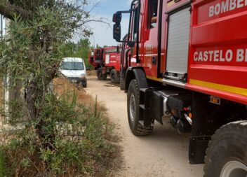 Dois meios aéreos combateram incêndio em Santo André das Tojeiras