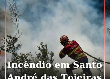 Incêndio florestal em Santo André das Tojeiras