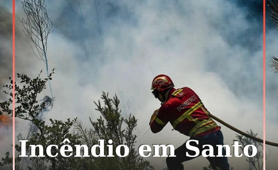 Incêndio florestal em Santo André das Tojeiras