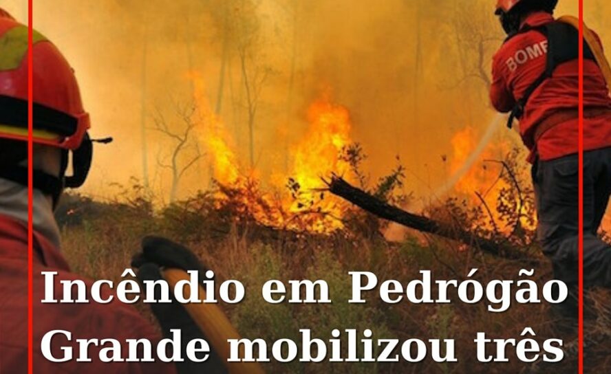 Um incêndio florestal deflagrou esta tarde de domingo em Pedrógão Grande