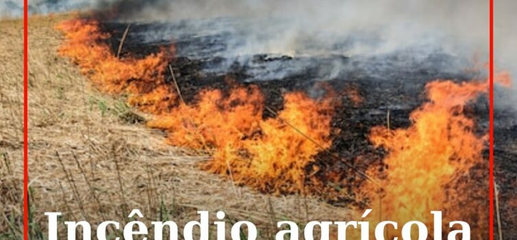 Um incêndio numa propriedade agrícola em Ladoeiro, próximo da EN240