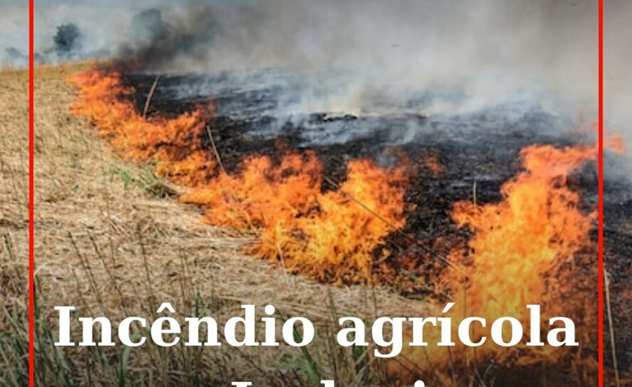 Um incêndio numa propriedade agrícola em Ladoeiro, próximo da EN240