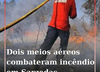 Um incêndio numa zona de povoamento florestal deflagrou esta tarde em Monte Goul