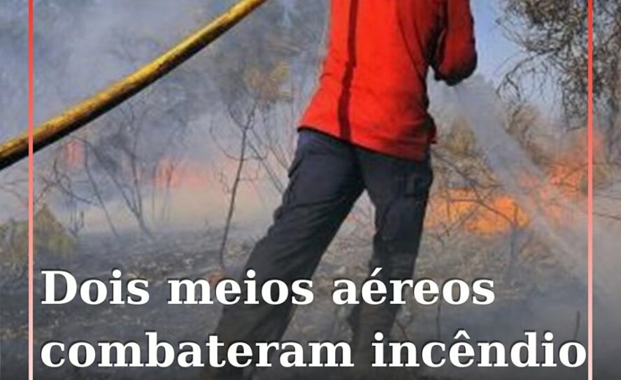 Um incêndio numa zona de povoamento florestal deflagrou esta tarde em Monte Goul