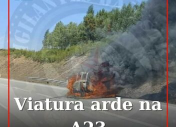 Veículo arde na A23