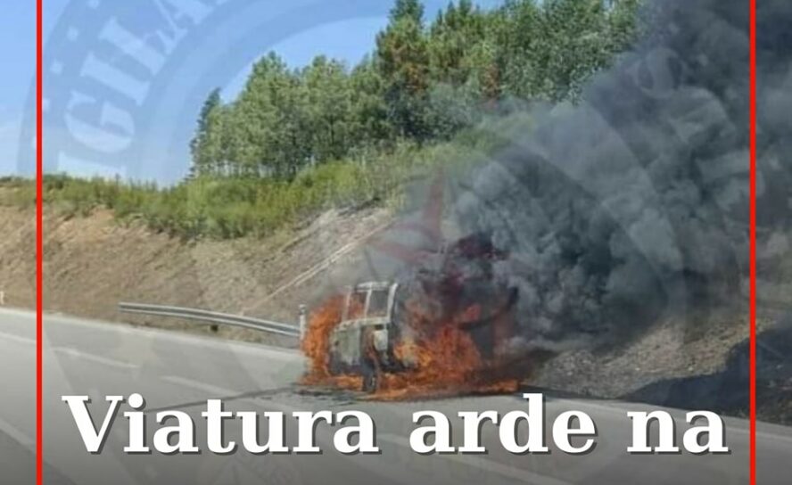 Veículo arde na A23