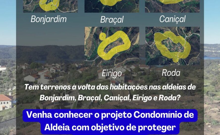Oleiros