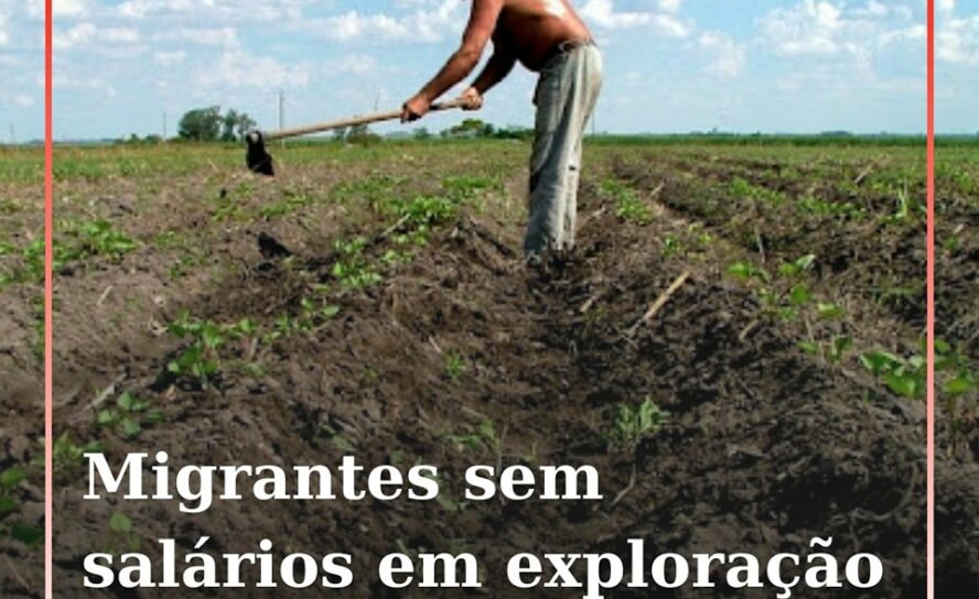 Quase duas dezenas de cidadãos de nacionalidade estrangeira